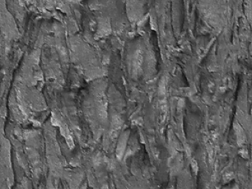 Dark Grey Bark Decoration Map texture (ID:ffaeh595334)