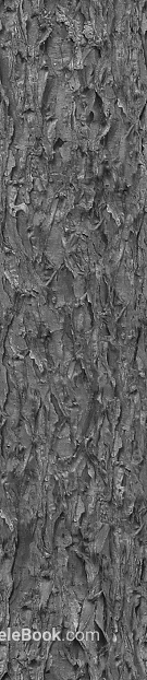 Dark Grey Bark Decoration Map texture