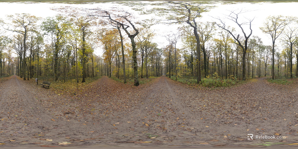 autumn outdoor park landscape daytime hdr texture