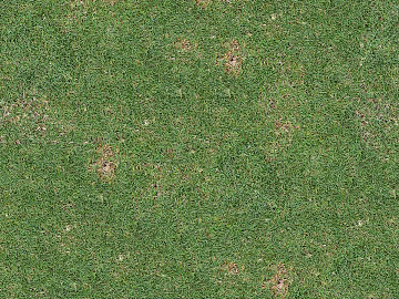 Grass Turf Slope texture (ID:ffaeh484467)