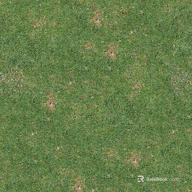 Grass Turf Slope texture
