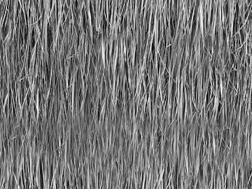 Black and White Bump texture (ID:ffaeg72685)