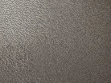 Coarse-grain leather 3d model