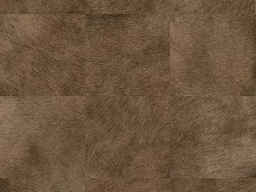Animal Blanket texture (ID:ffaag56129)