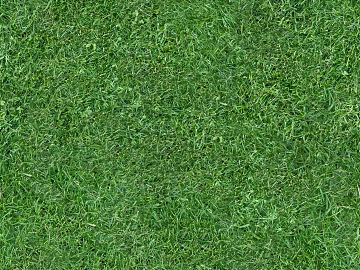 Turf ground texture (ID:ffabf3445)