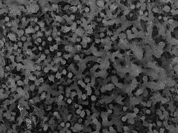 Black and White Bump texture (ID:ffagg46008)