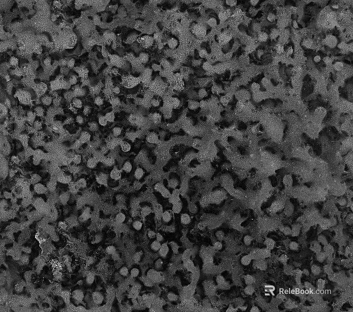 Black and White Bump texture