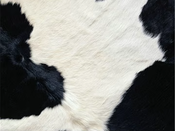 Animal Blanket texture (ID:ffajg52599)