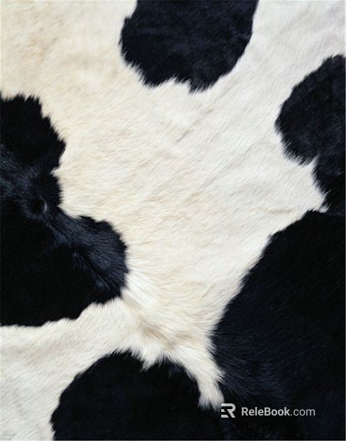 Animal Blanket texture