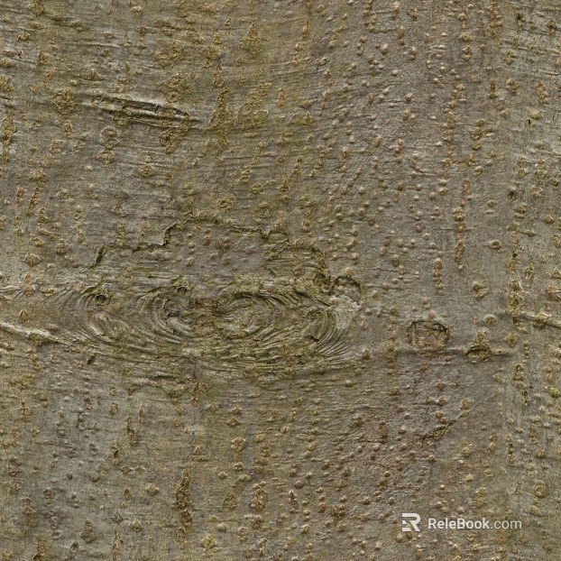 bark texture