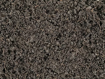 Mud texture (ID:ffaeg19878)
