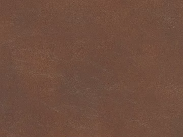 Coarse-grain leather texture (ID:ffach851943)