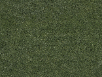 Turf texture (ID:ffadf9998)