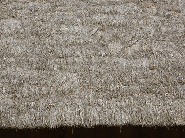 Thatch texture (ID:ffacg15049)