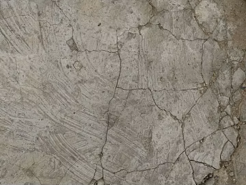 Cement floor texture (ID:ffagg04786)
