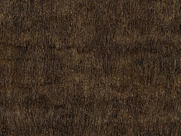 Thatched roof texture (ID:ffach054666)