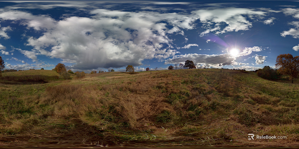 Sunny Wild Grassland HDR texture
