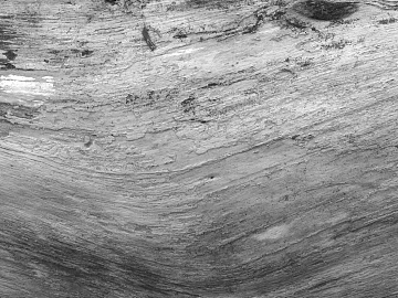 Black and White Bump texture (ID:ffagf1406)