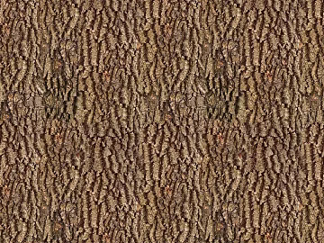 bark texture (ID:ffhfe987)