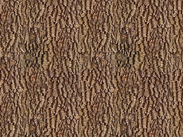 bark texture (ID:ffhfe987)