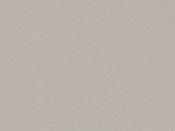 Warm gray fine grain leather 3d model