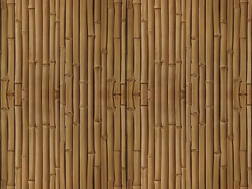 Bamboo texture (ID:ffajg53984)