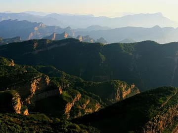 Wild Scenery texture (ID:ffajg60124)