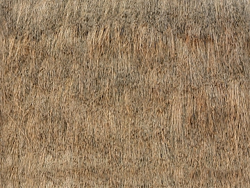 Thatched roof texture (ID:ffadg10924)