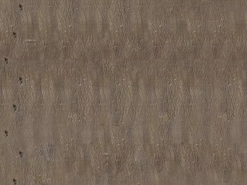 bark texture (ID:ffaeg59854)