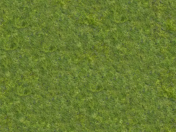 Grass Grass Slope Green Space Texture texture (ID:ffaeh159782)