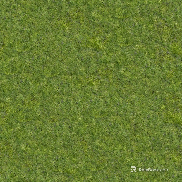 Grass Grass Slope Green Space Texture texture