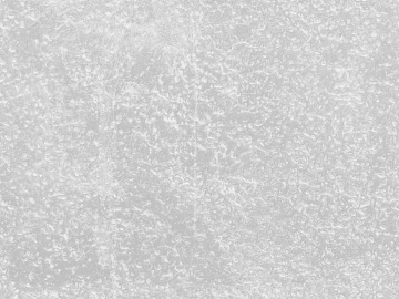 Black and White Bump texture (ID:ffach755035)