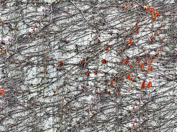 Concrete texture (ID:ffach149314)