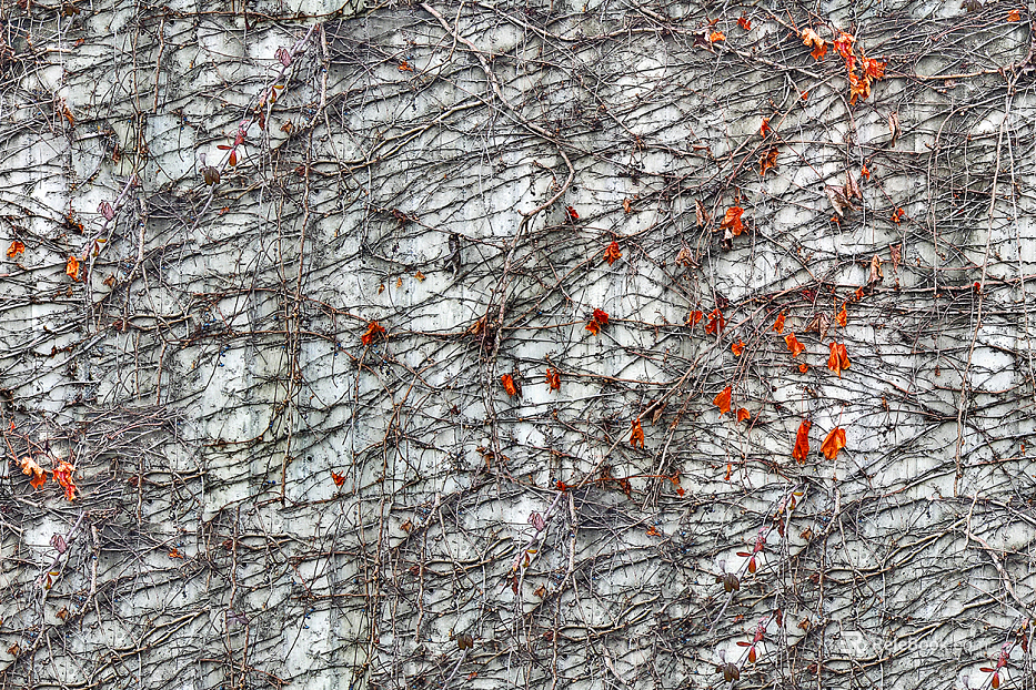 Concrete texture