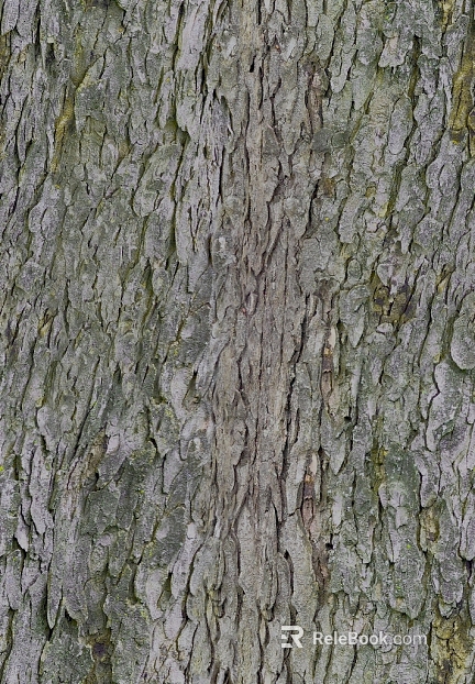 bark texture
