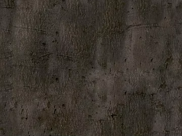 bark texture (ID:ffach602874)