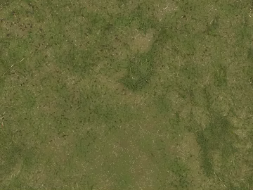 Turf texture (ID:ffabg28362)