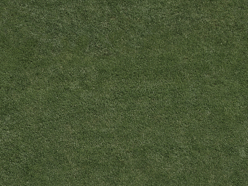 Turf texture (ID:ffagg88391)