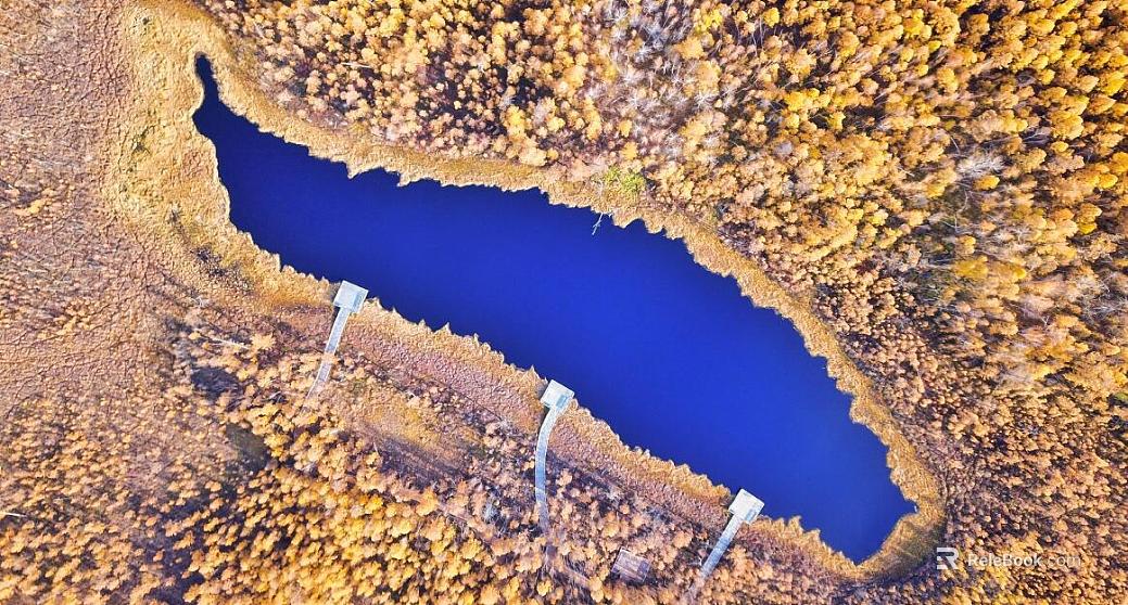 Wild Scenery texture