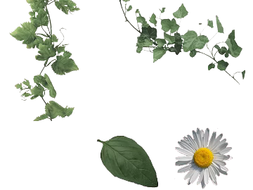 leaves texture (ID:ffacg69374)