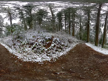 Outdoor Forest HDR texture (ID:ffaeh320501)