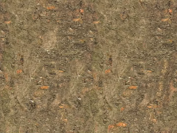 bark texture (ID:ffacg13233)