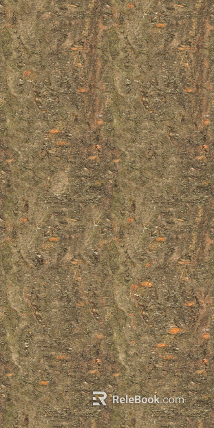 bark texture