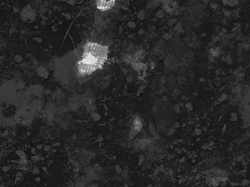 Black and White Tree Shadow Outdoor Ground Map texture (ID:ffaeh885086)