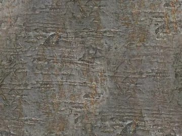 bark texture (ID:ffacg09108)