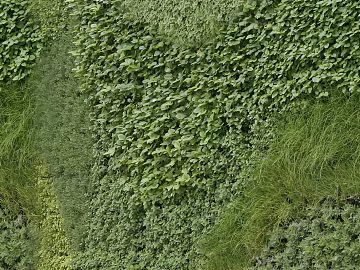 Turf texture (ID:ffacg15033)