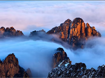 Wild Scenery texture (ID:ffaag04561)