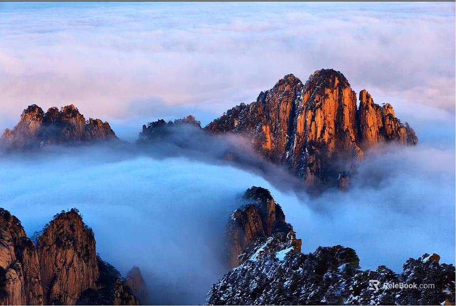 Wild Scenery texture