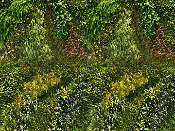 Plants texture (ID:ffacg78370)