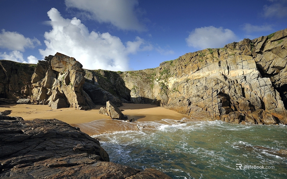 Wild Scenery texture
